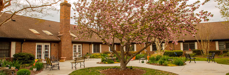 Outdoor courtyard area with a blooming pink tree in the center, surrounded by benches and chairs on paved walkways. The background shows a single-story brick building with multiple windows and doors, under a cloudy sky.