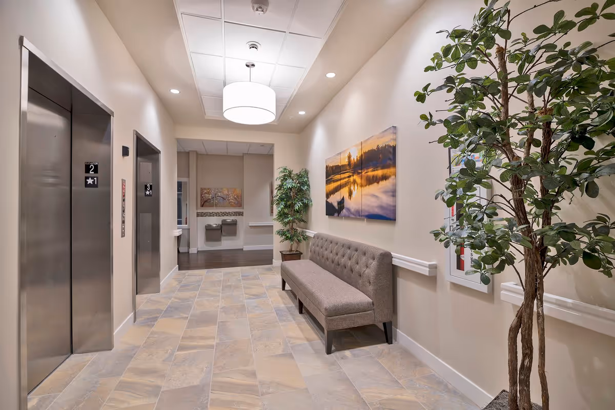 Well-lit senior living hallway with two elevators, a tufted bench, potted plants, and wall artwork.