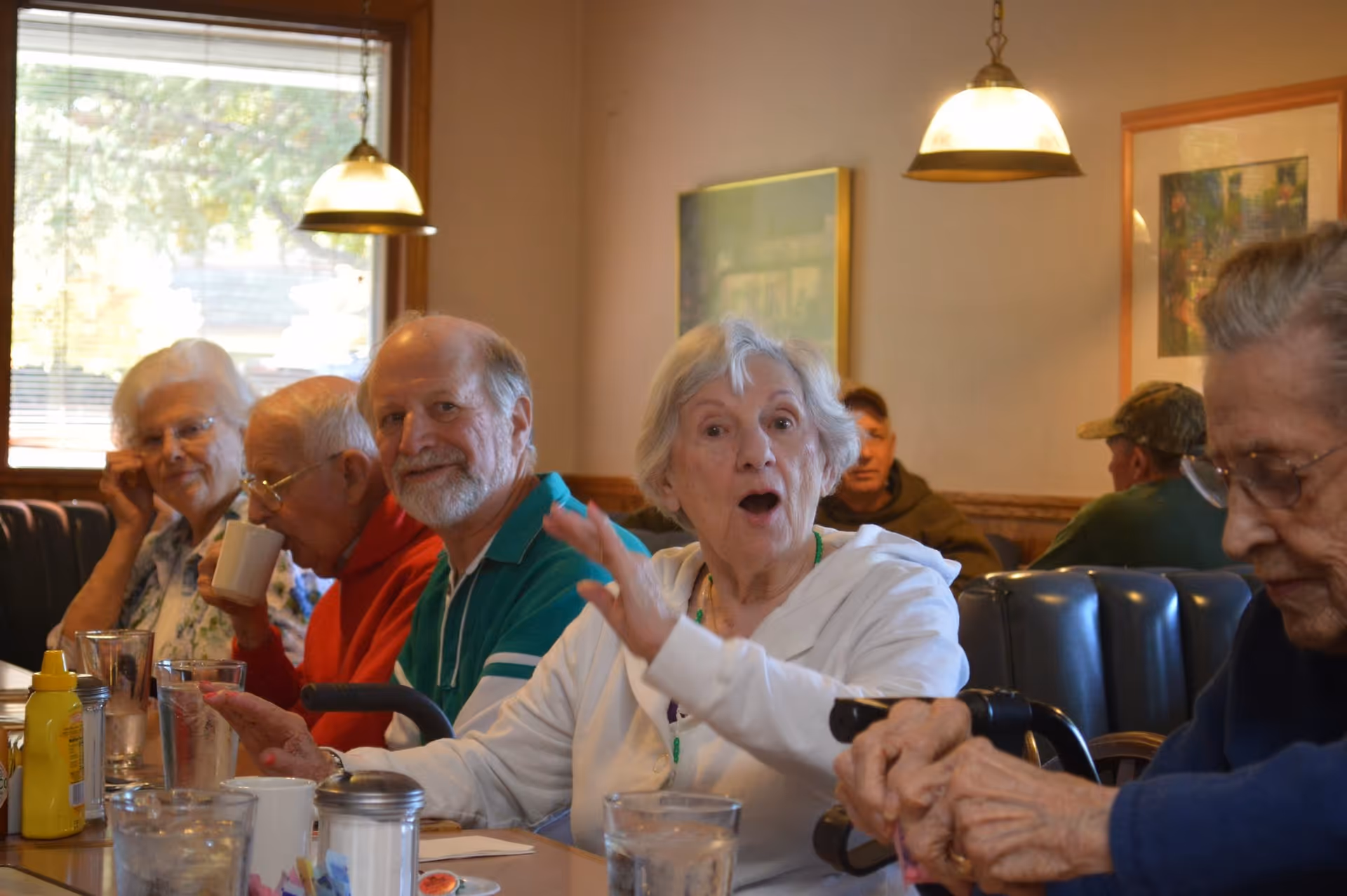 A group of elderly people sitting around a dining table in a cozy dining room, talking and enjoying drinks.