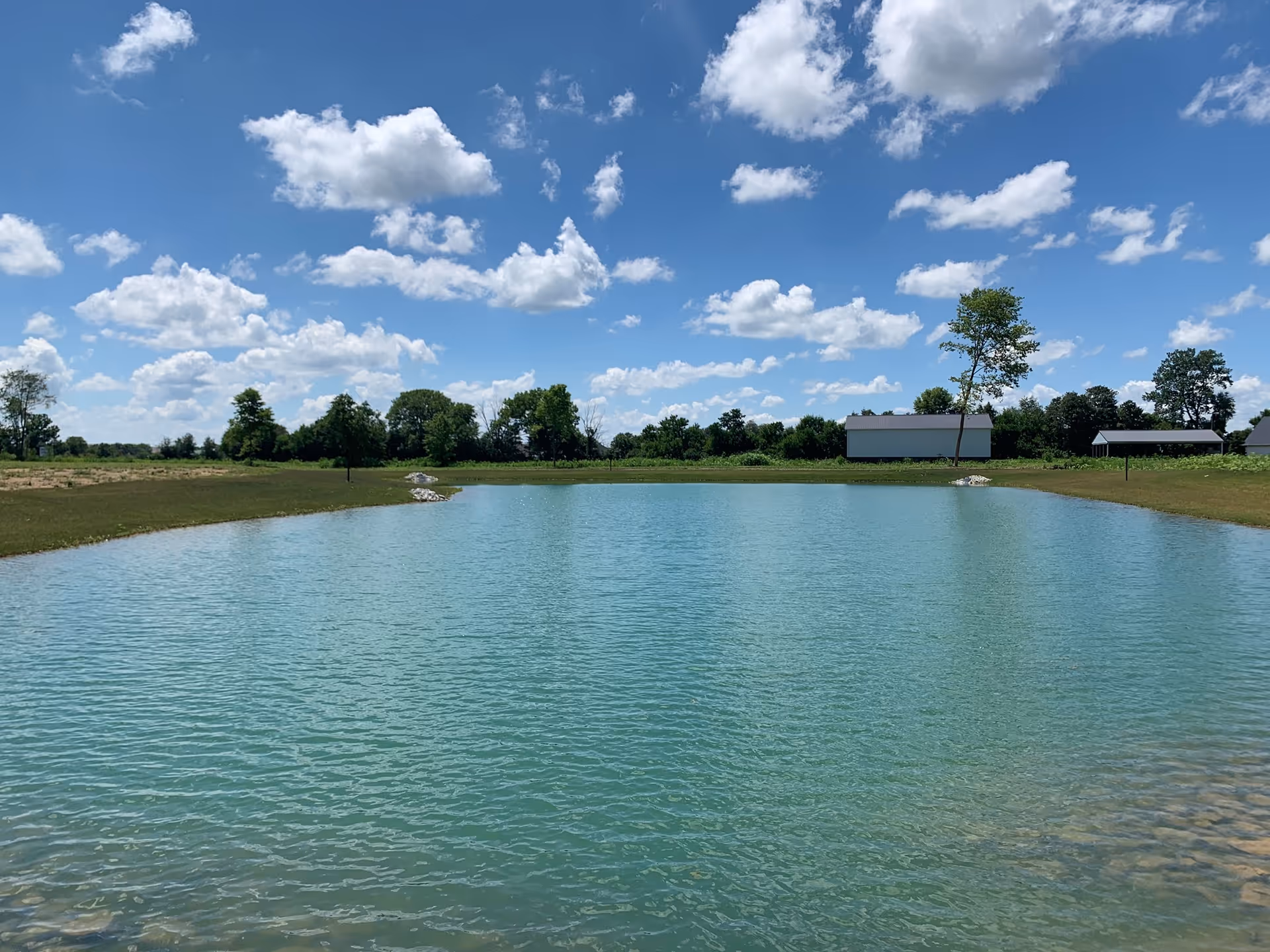 A serene outdoor scene featuring a clear blue pond surrounded by grassy land with a few trees and small buildings in the background under a bright blue sky with scattered white clouds.