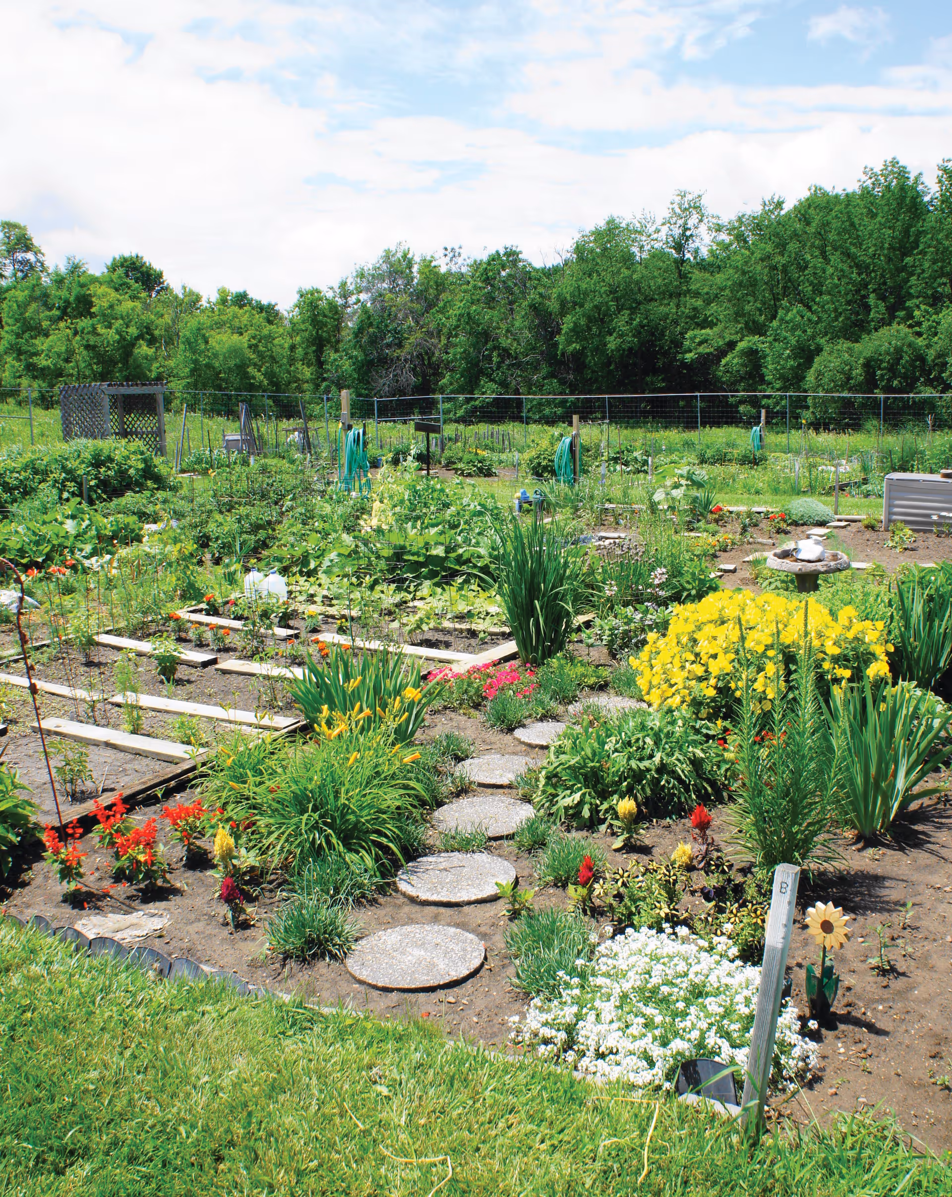 A vibrant garden with various plants and flowers, including yellow, red, and white blooms, arranged in neat rows with circular stepping stones forming a path through the garden. In the background, there is a fence and dense green trees under a partly cloudy sky.