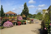 Outdoor courtyard with a paved walkway, gazebo, numerous potted flowers and trees under a partly cloudy sky.