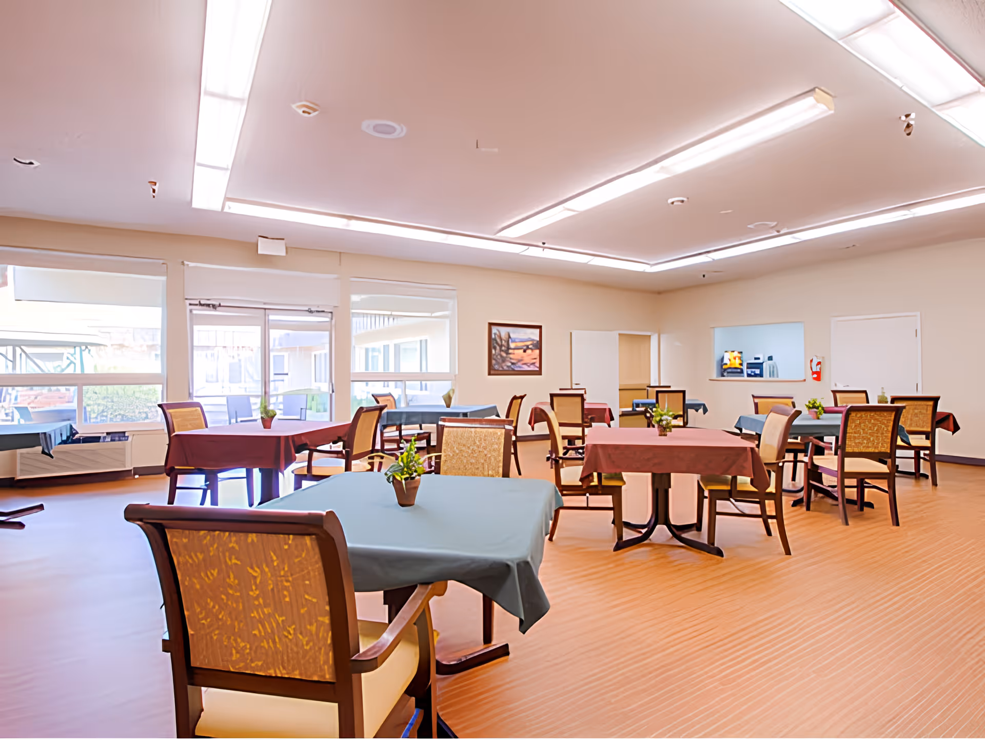 A bright dining room with multiple tables covered in blue and maroon tablecloths, each table surrounded by wooden chairs with cushioned seats and backs. Small potted plants are placed on each table. Large windows on one side let in natural light, and a serving window is visible on the far wall with a coffee machine and water dispenser. The floor has a light wood pattern, and the ceiling has fluorescent lighting.