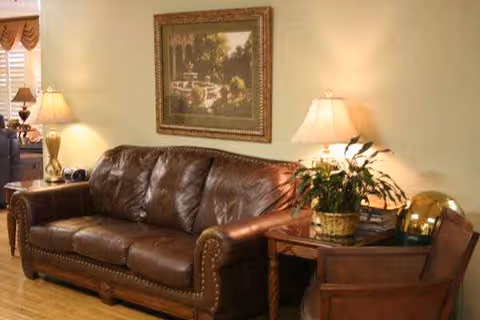Leather sofa with lamps, a plant, and framed art in a cozy living room.