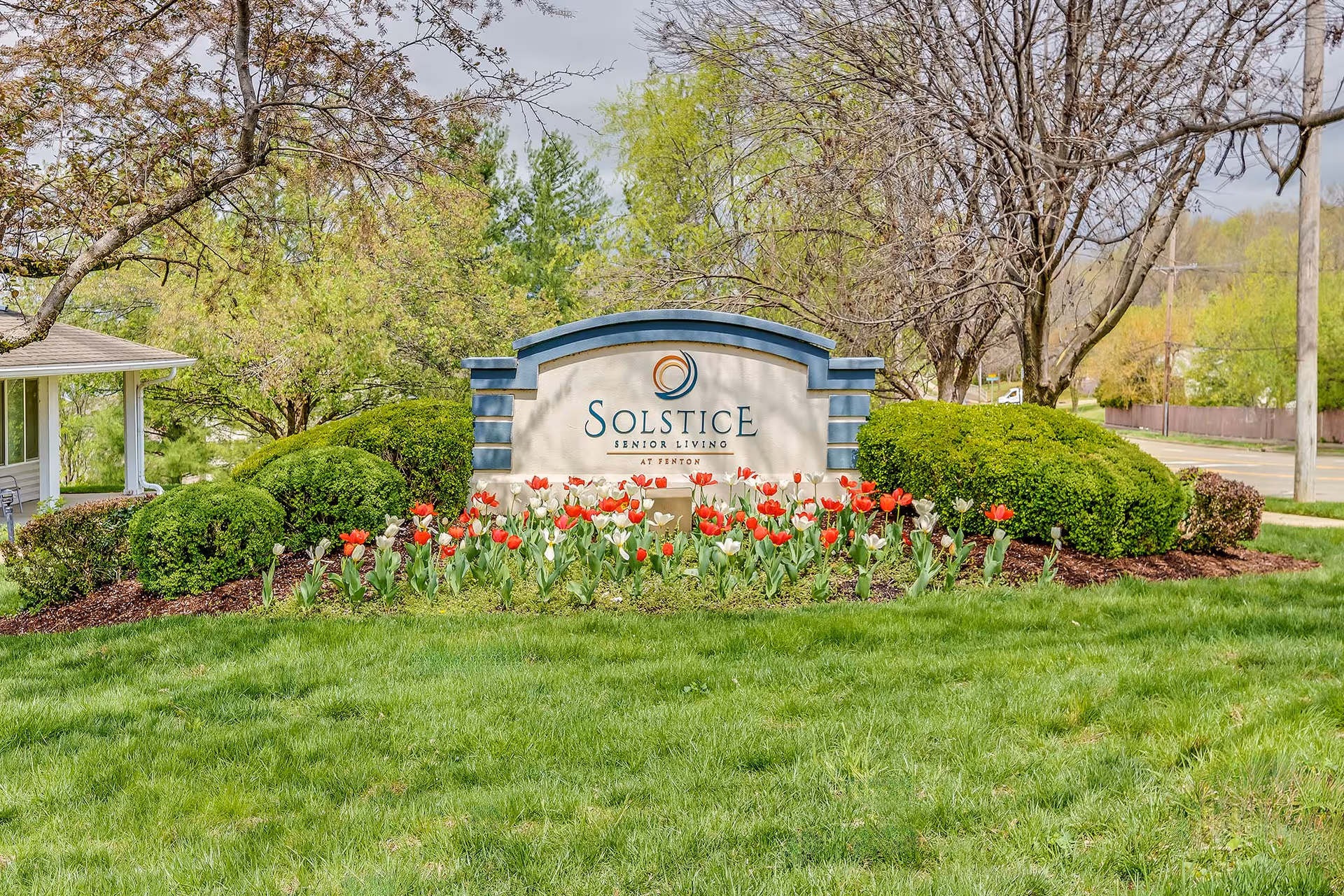 Outdoor view of the entrance sign for Solstice Senior Living at Fenton, surrounded by green bushes, blooming red and white tulips, and trees with some leaves. A road and utility poles are visible in the background.