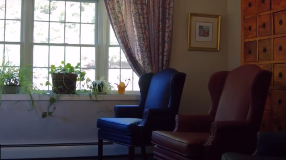 A cozy interior room with two upholstered armchairs placed near a large window with multiple panes. The window sill holds several potted plants, and patterned curtains frame the window. A wooden cabinet with multiple small drawers is visible on the right side, along with a framed picture on the wall.