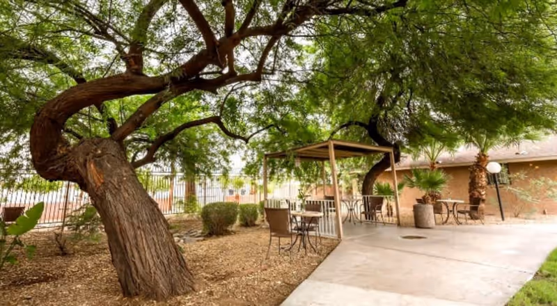 Outdoor patio area at Encanto Palms Assisted Living featuring a large tree with a curved trunk, several tables and chairs under a pergola, and surrounding greenery including bushes and palm trees.
