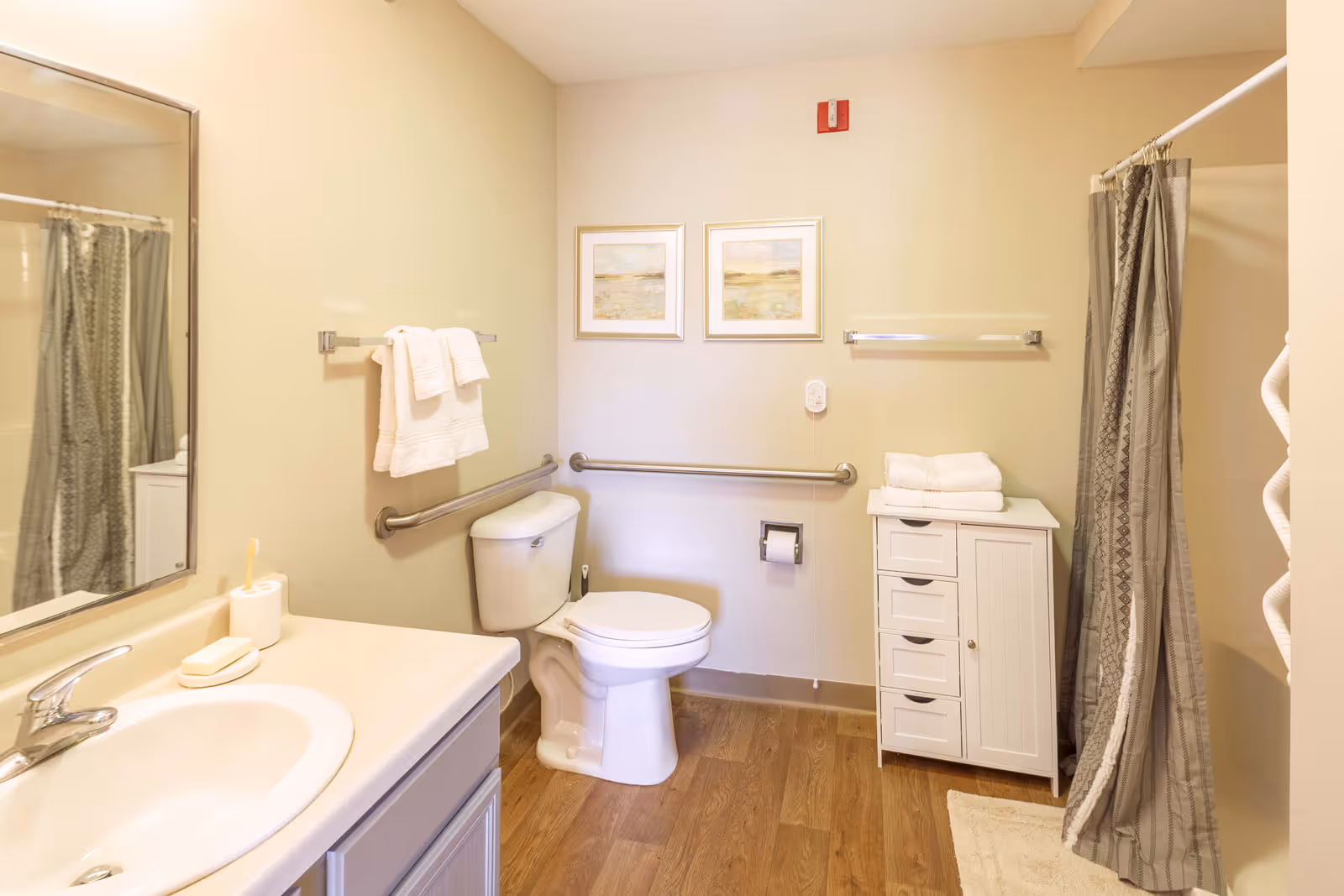 Bright accessible bathroom with a sink and mirror, toilet with grab bars, shower with a curtain, and a small storage cabinet.