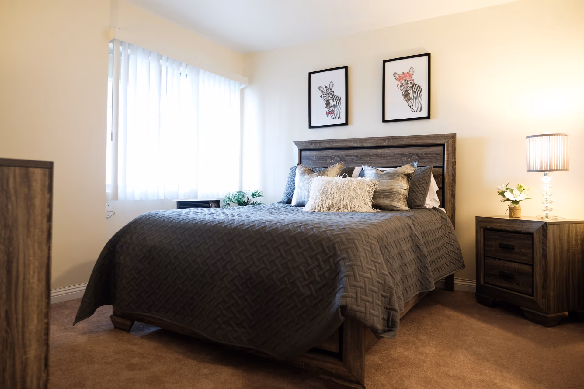 A cozy bedroom with a large bed covered in a dark gray quilt and multiple pillows. Two framed pictures of zebras with accessories hang on the wall above the wooden headboard. A wooden nightstand with a lamp and a small plant is beside the bed. Light filters in through a window with sheer white curtains.