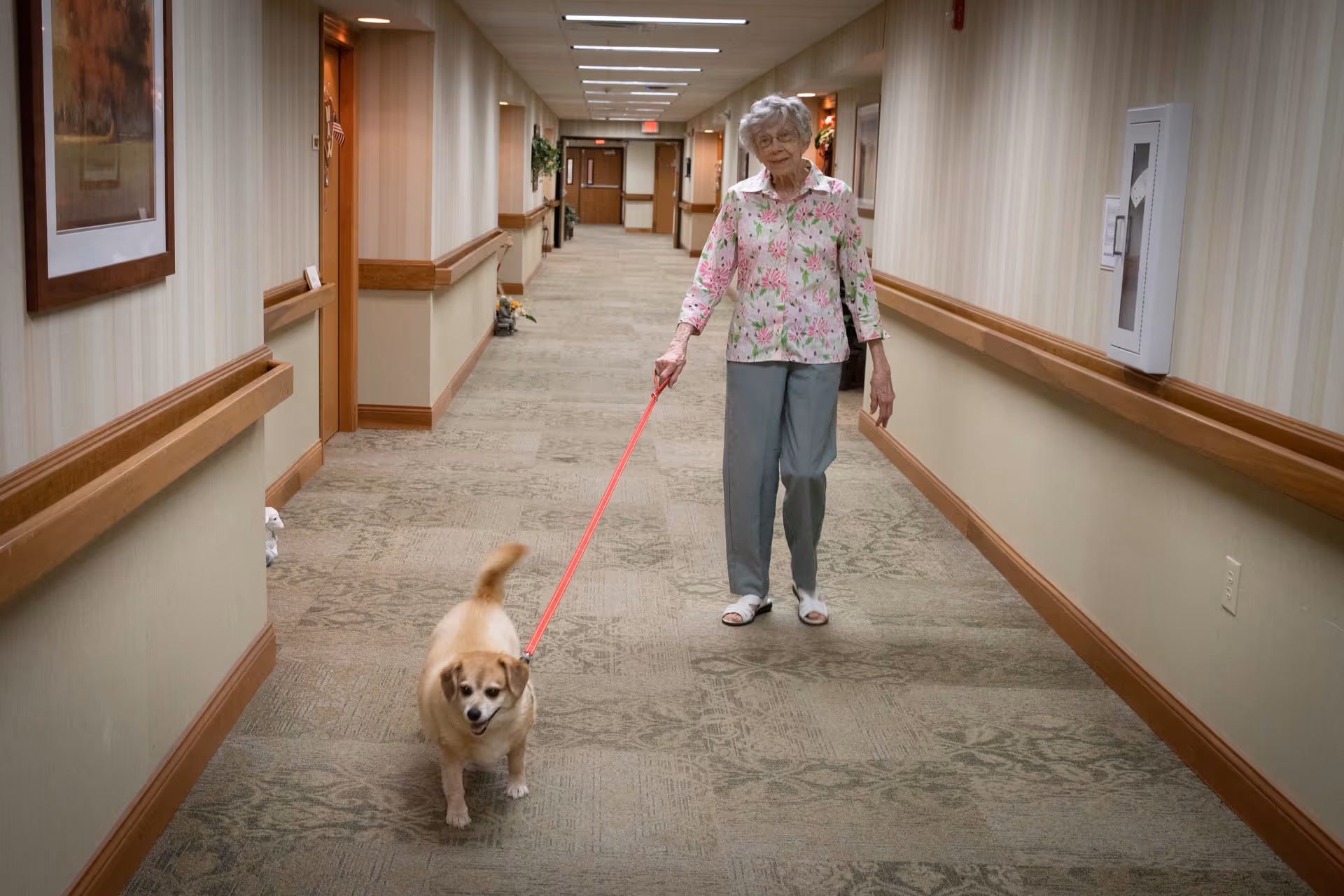 An elderly woman walking a small dog on a red leash down a long, carpeted hallway in an assisted living facility. The hallway has beige walls with wooden handrails and framed artwork, and doors leading to rooms on either side.