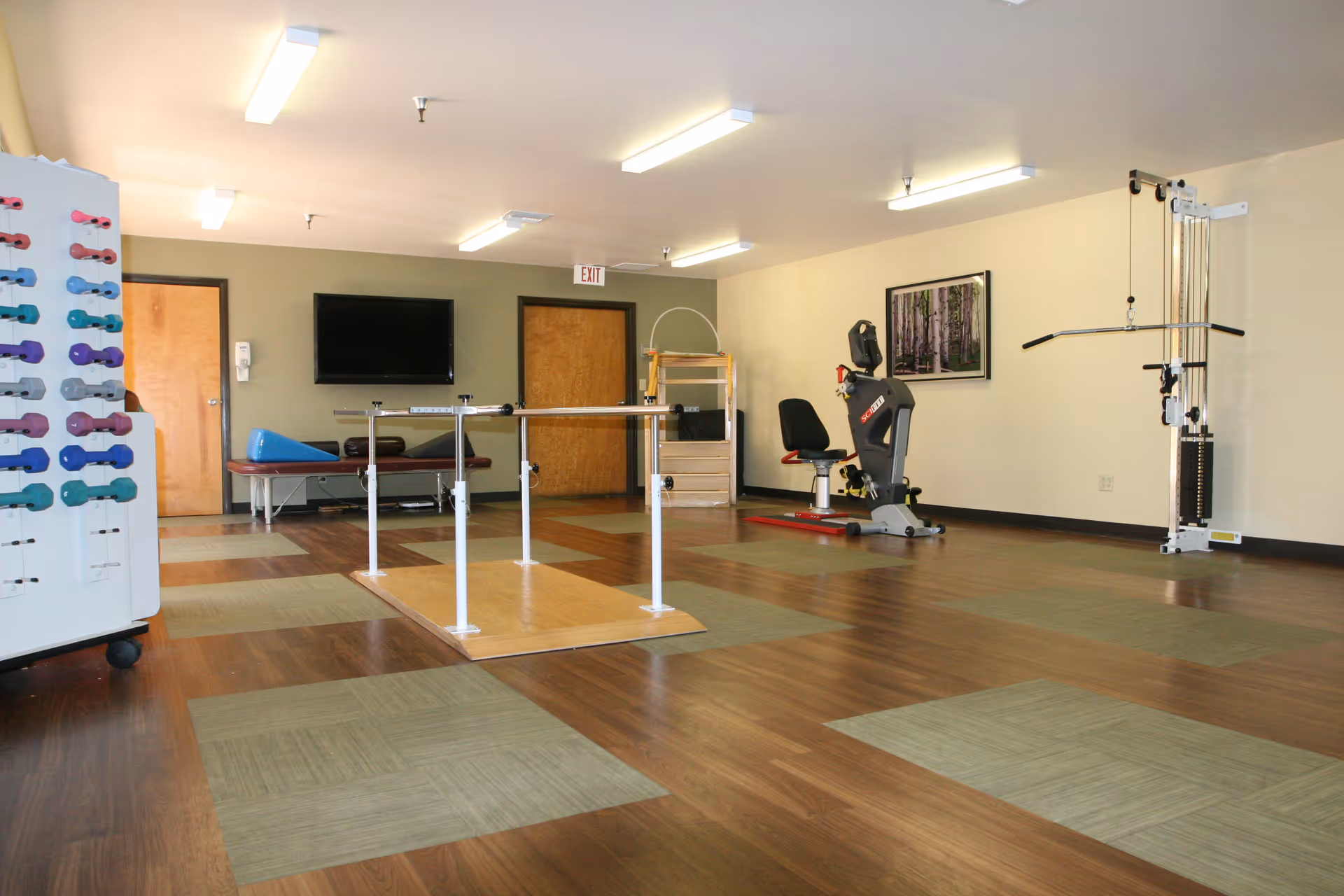 A spacious exercise room with wooden and green patterned flooring, featuring parallel bars for walking practice in the center, a recumbent exercise bike, a weight machine, a rack of colorful dumbbells on the left, a bench, and a wall-mounted TV. The walls are light-colored with a framed picture of trees and two wooden doors at the back.