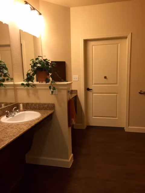 Interior view of a bathroom area with a granite countertop and a white sink on the left side. There is a potted plant on the countertop near a large mirror. A closed white door is visible straight ahead, and the floor is dark wood. The walls are painted a light beige color.