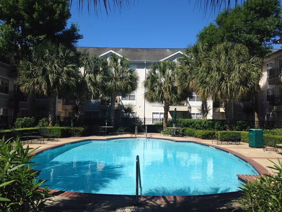 Outdoor swimming pool surrounded by palm trees and shrubbery with a multi-story residential building in the background under a clear blue sky.