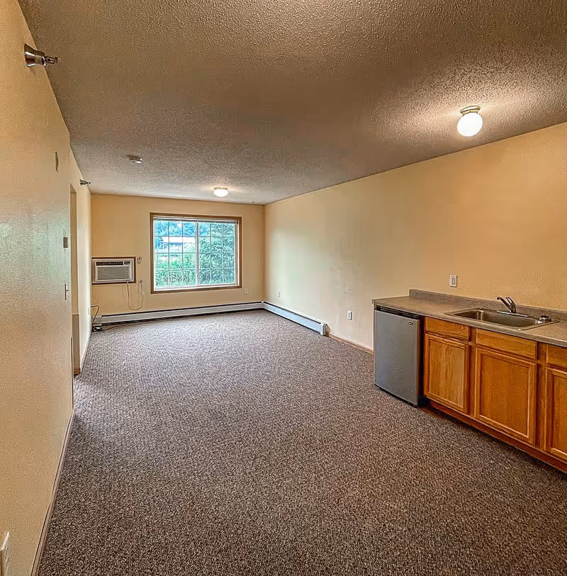 An empty room with beige walls and carpeted floor featuring a small kitchenette with wooden cabinets, a sink, and a mini refrigerator on the right side. A large window with a view of greenery is at the far end of the room, and there is a wall-mounted air conditioning unit below the window. The ceiling has two round light fixtures.