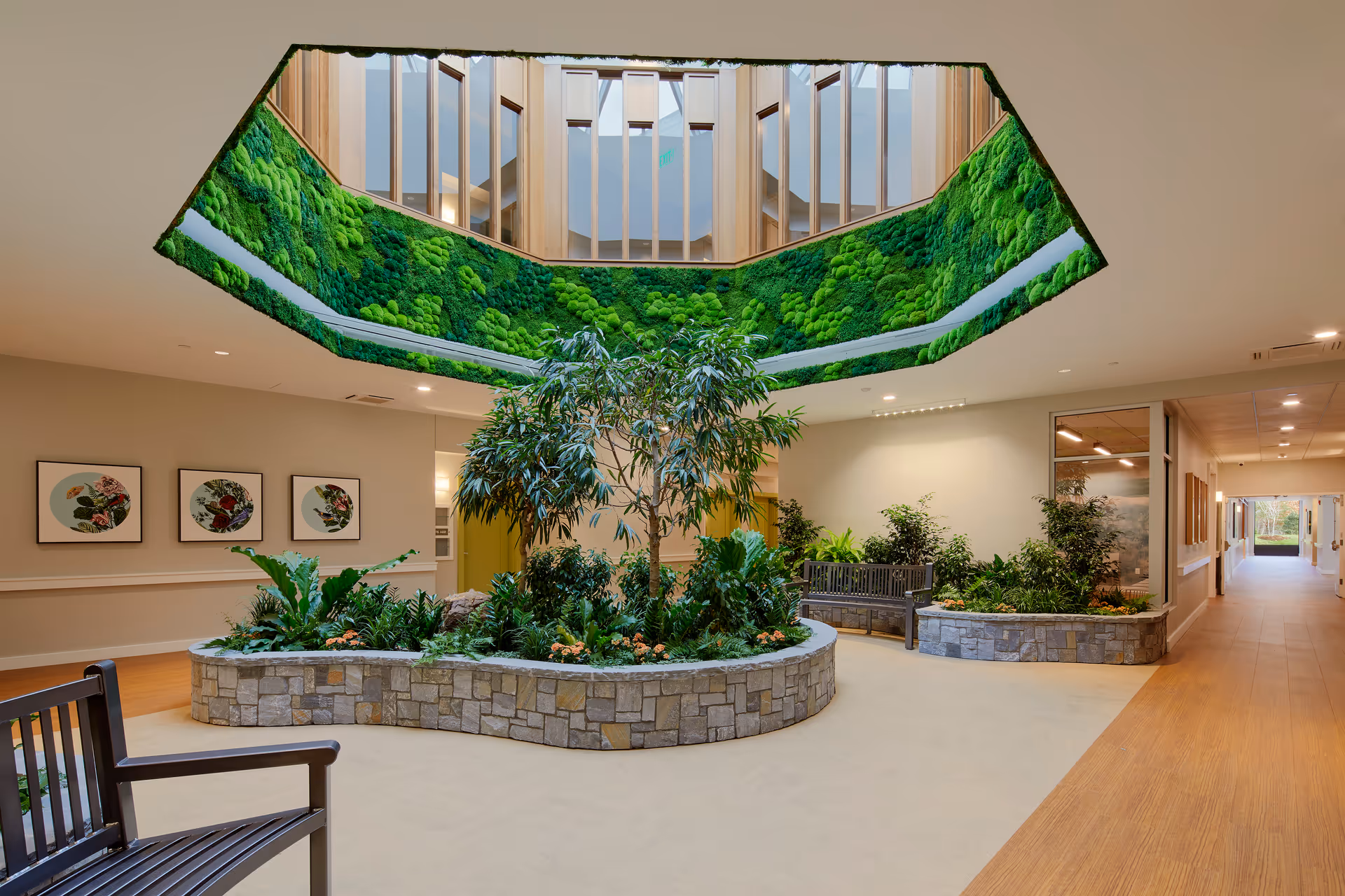 Indoor common area with a large circular planter filled with various green plants and a tree in the center. The ceiling above the planter features a skylight surrounded by green moss or plant decor. There are benches around the planter and framed botanical artwork on the walls. A hallway extends to the right with more plants and natural light visible at the end.