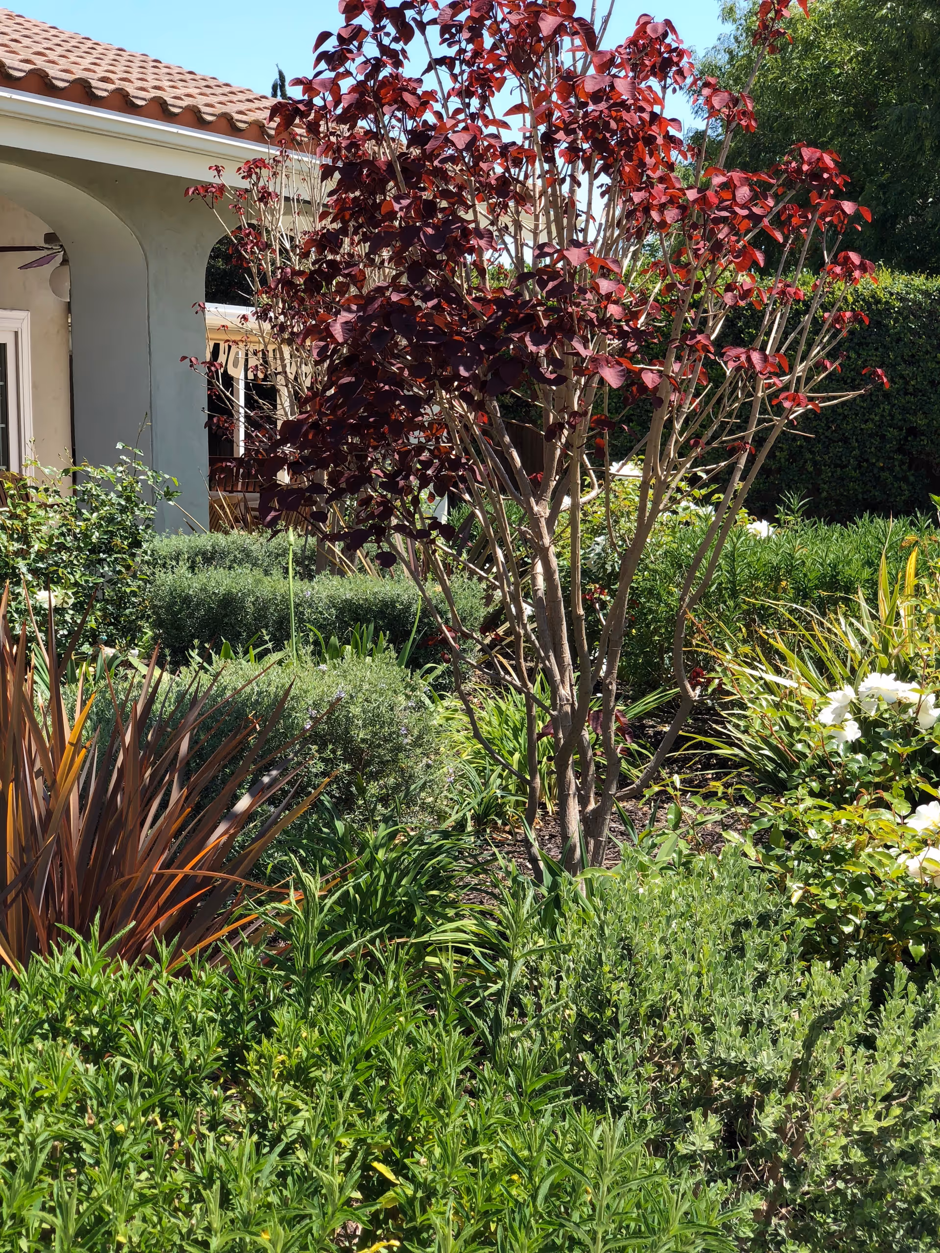 A garden area with various green shrubs and plants, including a tree with dark red leaves, in front of a building with a tiled roof and arched entryway.