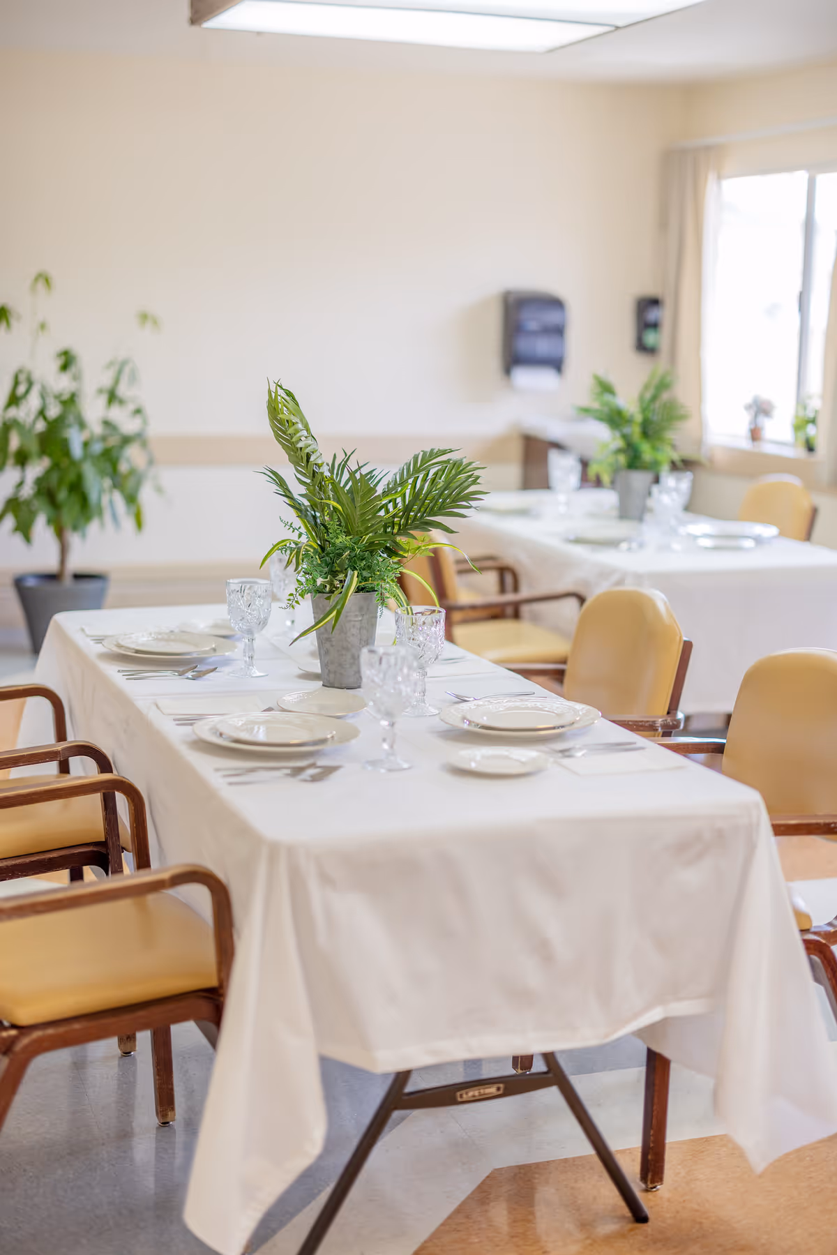 Dining room with tables set with white tablecloths, plates, glassware, and potted green centerpieces.