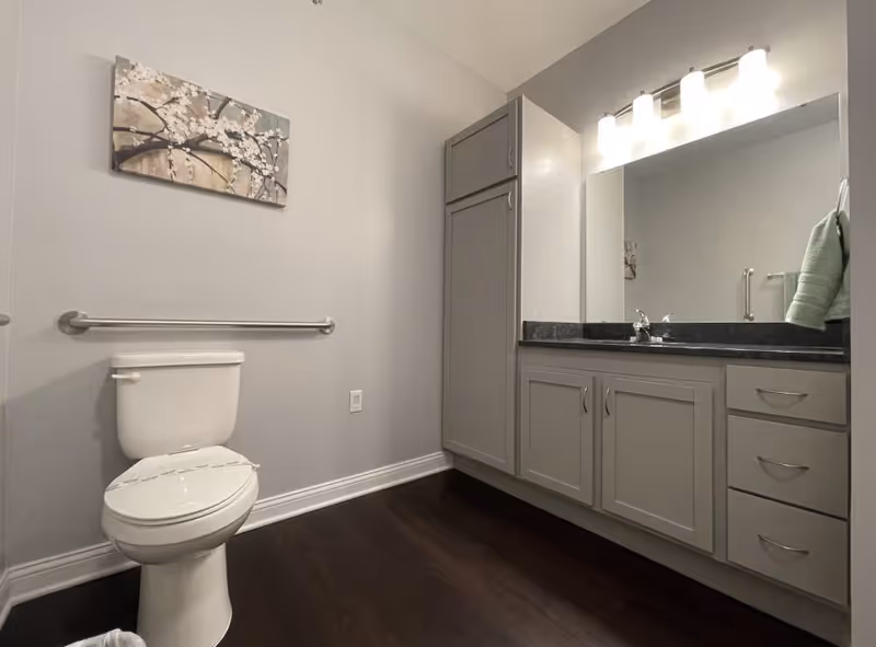 Modern accessible bathroom with a toilet and grab bar, a long vanity with sink, mirror and overhead lights, and a tall storage cabinet.