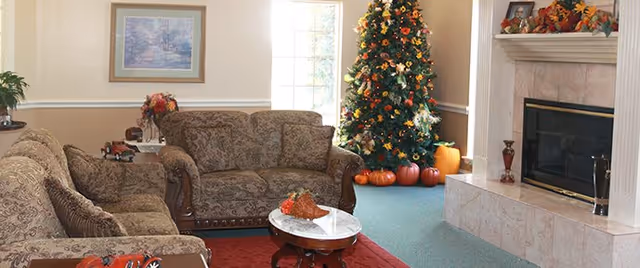 A cozy living room with patterned sofas, a decorated Christmas tree and pumpkins by a window, and a fireplace with a marble hearth.