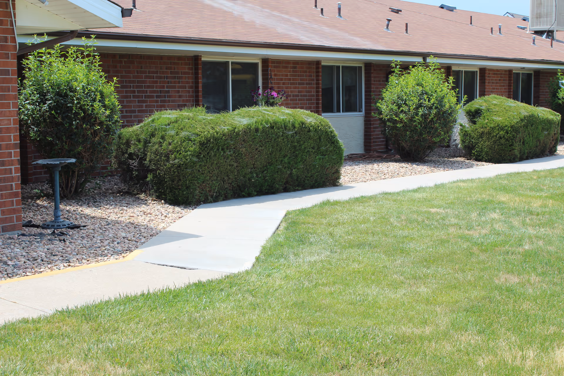 A walkway bordered by neatly trimmed bushes and a grassy lawn leading to the entrance of a single-story brick building with multiple windows.