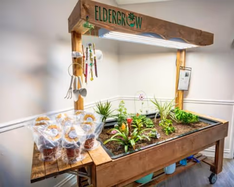 Indoor wooden gardening table labeled 'Eldergrow' with various plants growing under a light fixture. Several small potted plants and gardening tools hang on the side. Packaged baked goods are placed on the left side of the table. The setting is inside a room with white walls and wooden flooring.