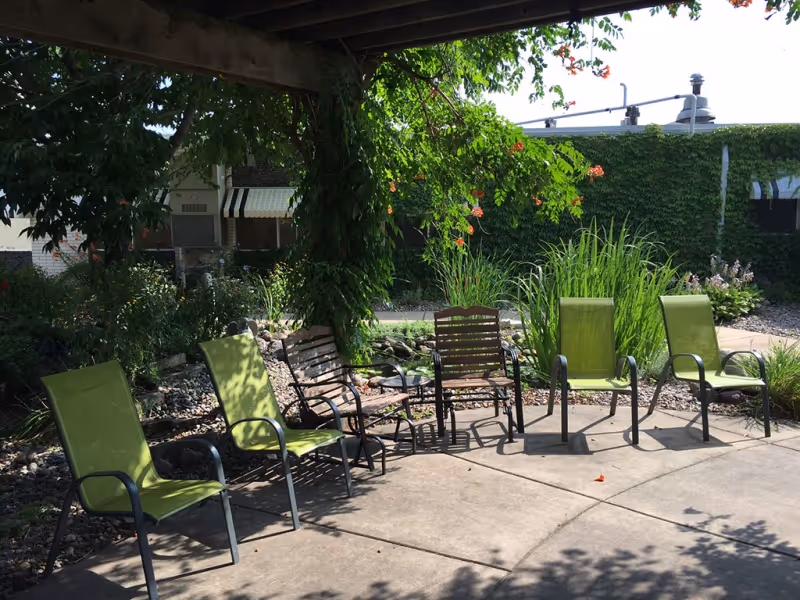 Shaded outdoor patio with several green chairs and a wooden bench arranged on a paved area surrounded by plants and climbing vines.