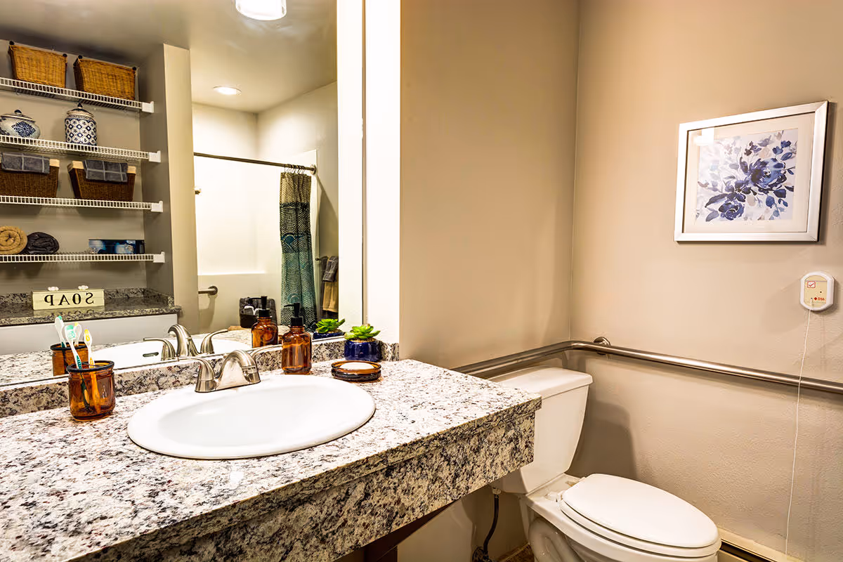 A clean and well-organized bathroom with a granite countertop sink, a large mirror, and a toilet with a safety grab bar. Shelves with towels, baskets, and decorative jars are visible in the reflection of the mirror. A framed floral picture hangs on the wall above the toilet.