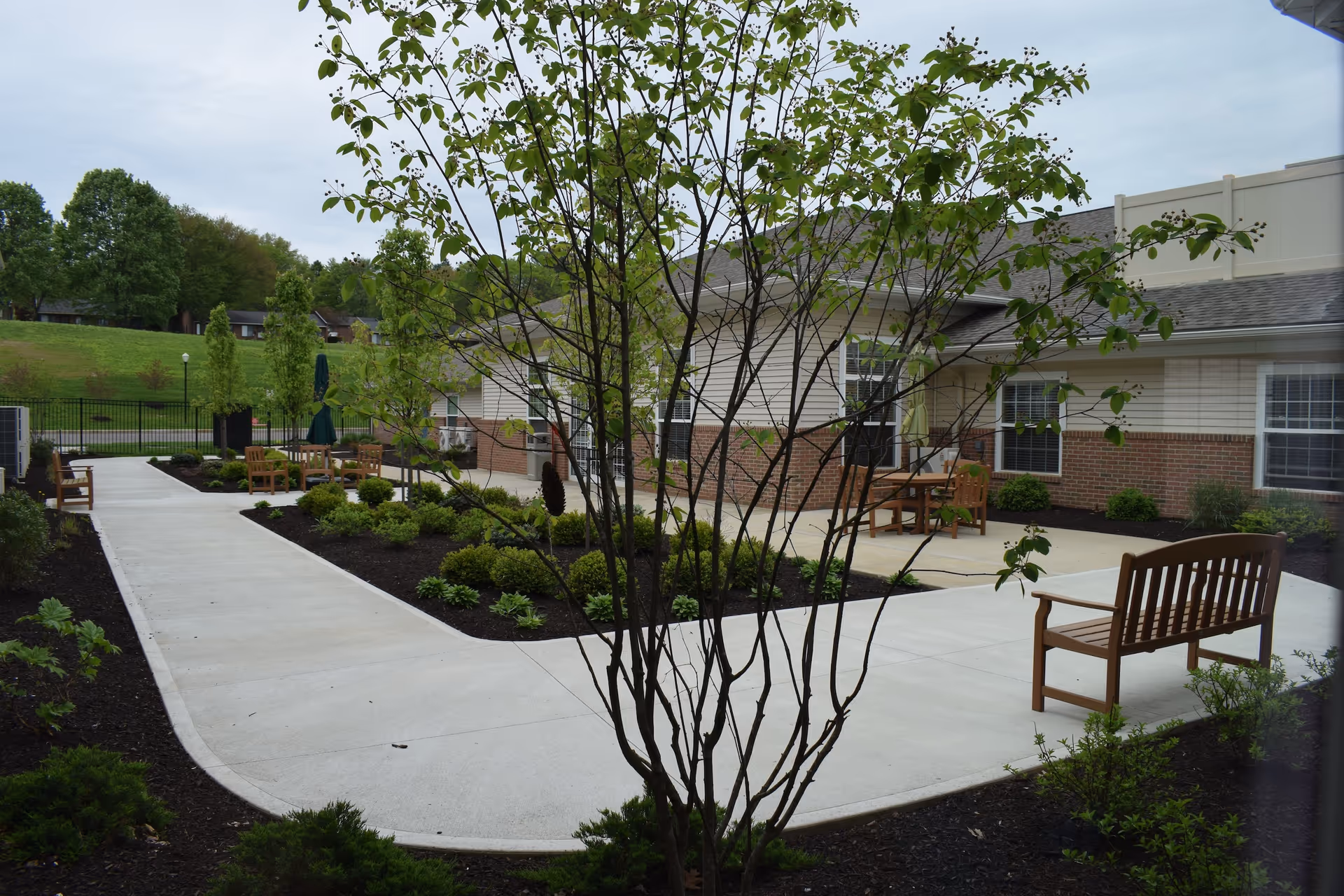 Outdoor courtyard with a paved walkway, benches, planted beds and a small tree in front of a single-story brick-and-siding building.