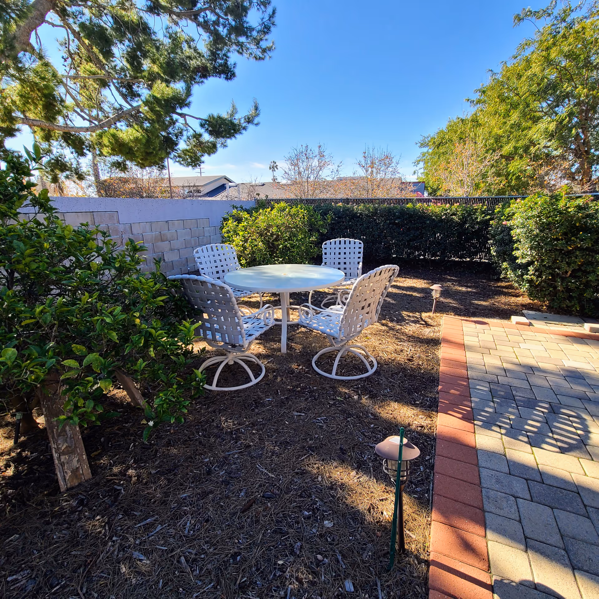 Outdoor seating area with a round white table and four white metal chairs on mulch next to a brick paver path, surrounded by shrubs and trees under a clear sky.