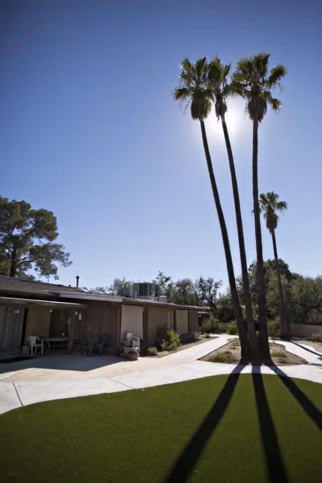 A sunny courtyard with tall palm trees casting long shadows in front of a single-story building under a clear blue sky.