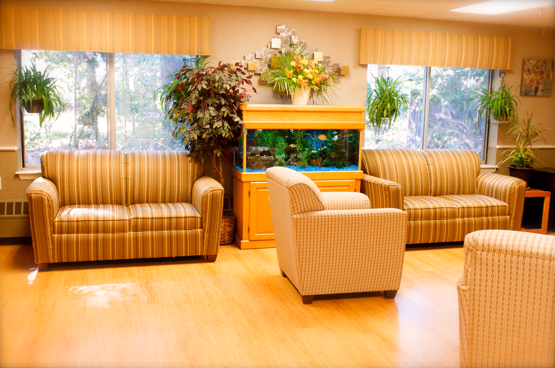 A cozy living room area with two striped sofas and two patterned armchairs arranged around a wooden fish tank. The room has large windows with yellow valances, several green potted plants, and a floral arrangement on top of the fish tank. The floor is light wood.