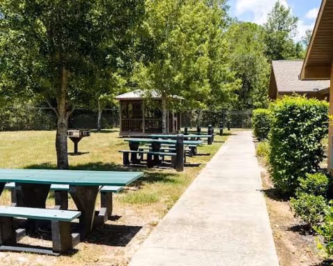Outdoor area with several green picnic tables and benches along a concrete pathway. There are trees providing shade and a small gazebo in the background. A building with a brown roof and green bushes is visible on the right side.