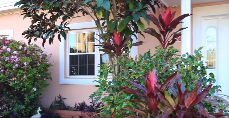 Front exterior view of a building with peach-colored walls, a white-framed window, a white door with a decorative glass panel, and various green and red plants and shrubs in the garden area.