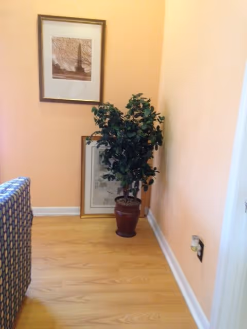 Corner of a living room with a potted plant, framed pictures, and part of a patterned sofa against peach walls and a wood floor.
