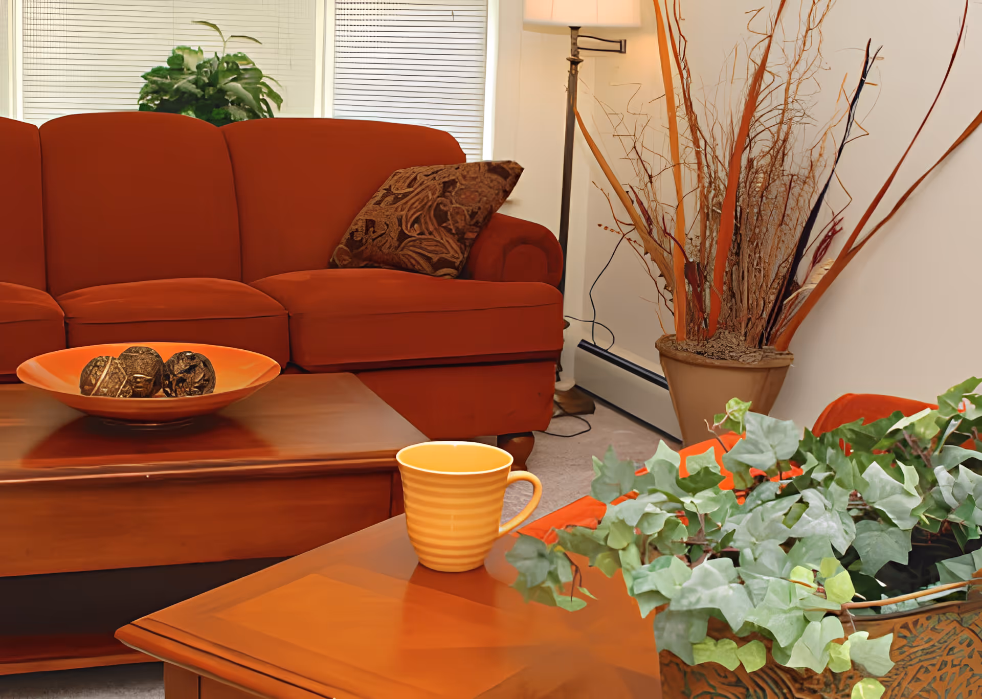 Cozy living room with an orange sofa, wooden coffee table holding a decorative bowl and a yellow mug, and potted plants.