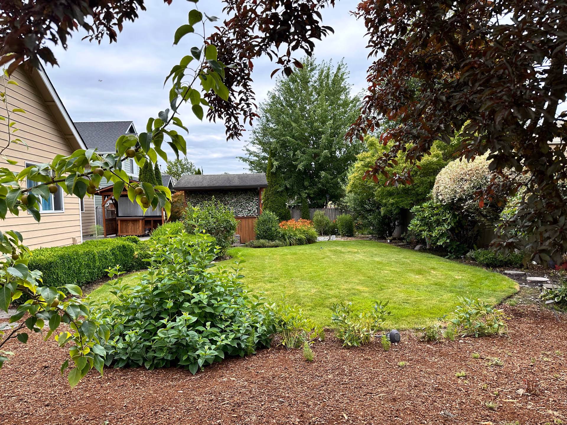 A well-maintained garden area with a green lawn surrounded by various shrubs and trees. There is a beige house on the left side and a small wooden shed or structure at the back. The sky is cloudy and the garden is framed by leafy branches in the foreground.