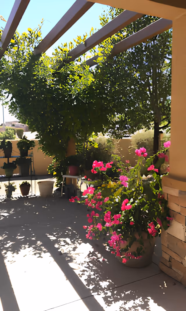 Sunlit outdoor patio with a pergola, potted plants, and bright pink flowering bougainvillea.