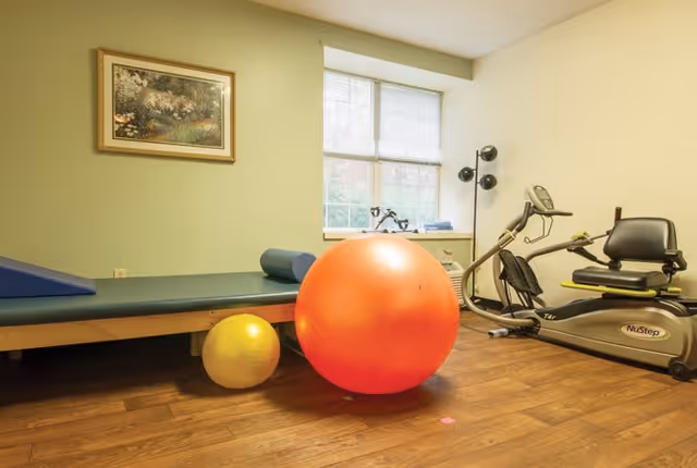 A small exercise room with wooden flooring featuring a large orange exercise ball and a smaller yellow exercise ball in front of a padded bench. There is a recumbent exercise bike near a window with blinds, and a floor lamp with three adjustable lights in the corner. A framed painting hangs on the green wall.