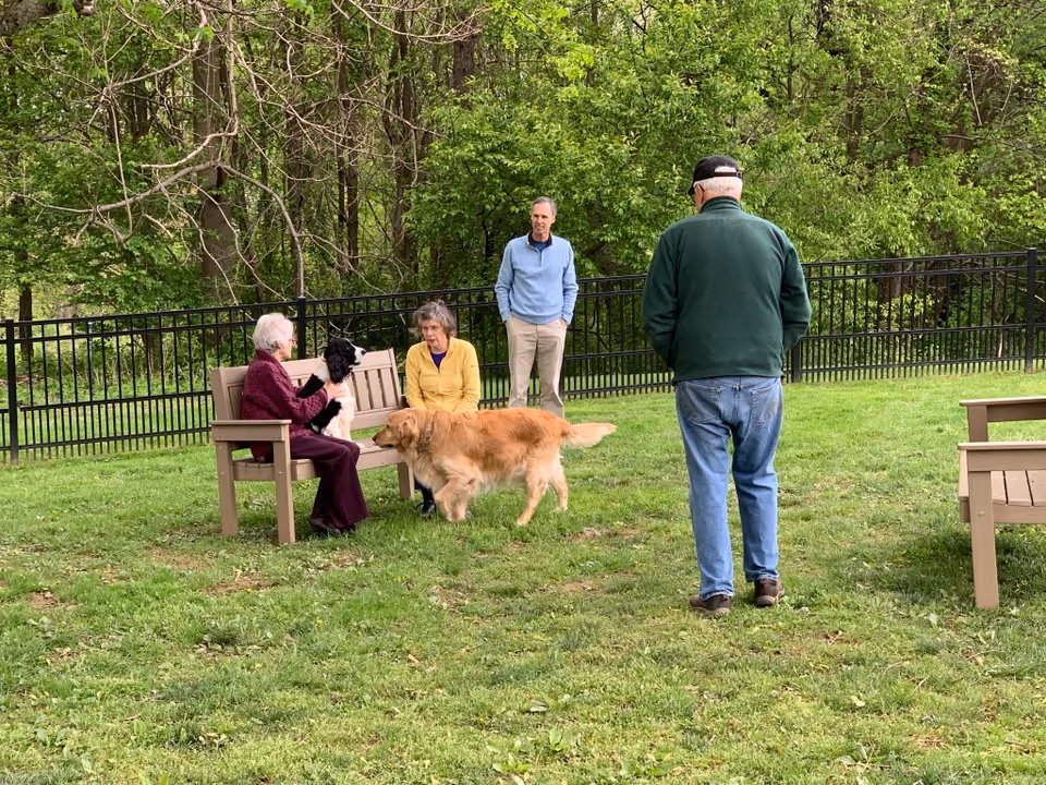 Two elderly women sitting on a wooden bench in a grassy fenced yard, one holding a black and white dog. A golden retriever stands nearby, and two men stand in the background among green trees.