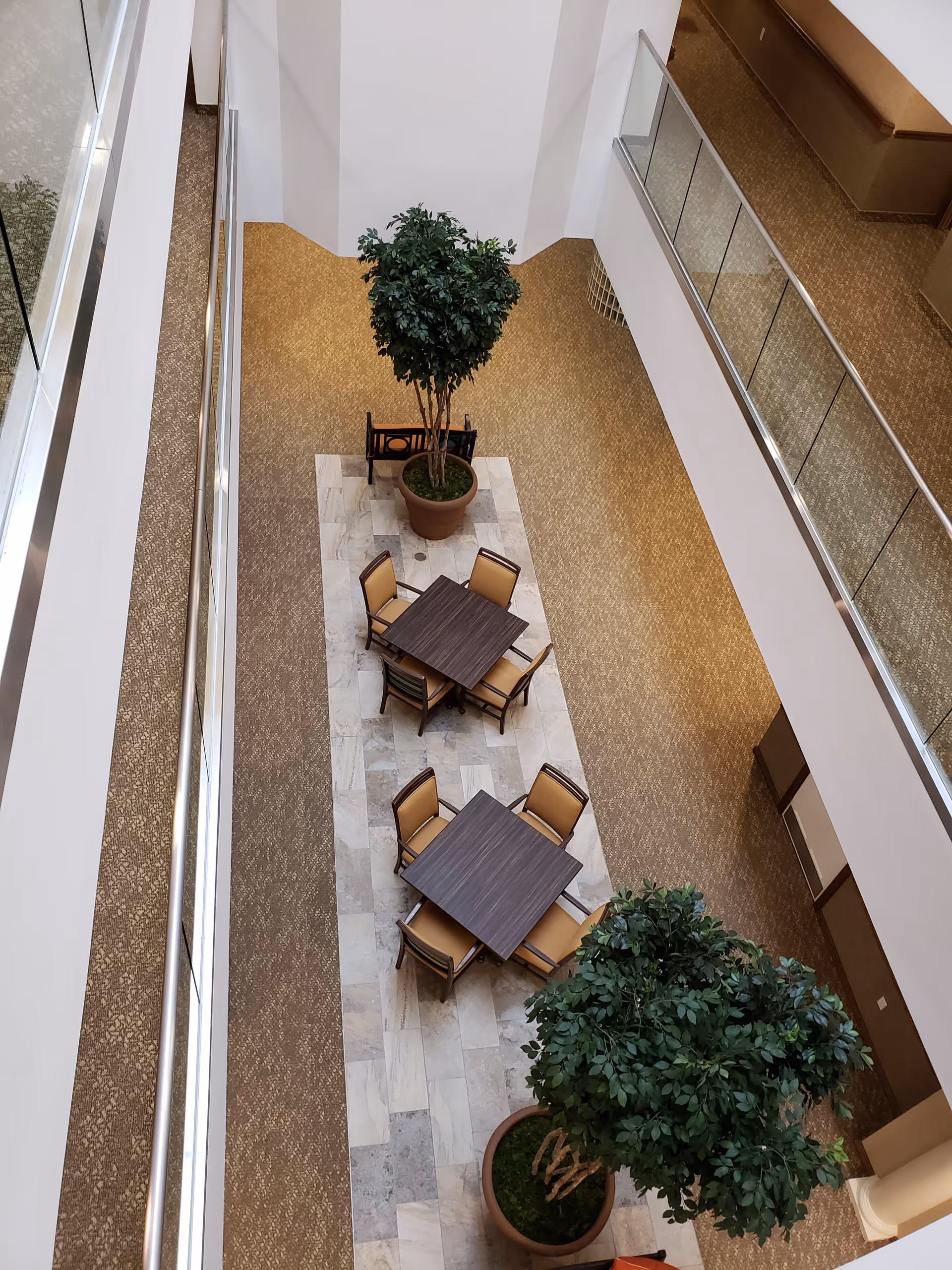 View from above of an indoor seating area with two square tables, each surrounded by four chairs with tan cushions. There are two large potted plants placed on a tiled floor section, surrounded by carpeted flooring. The area is enclosed by white walls and glass railings on the upper level.