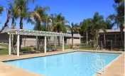 Outdoor swimming pool area with clear blue water, surrounded by a concrete deck and several palm trees. There is a white pergola structure with benches underneath and a fence enclosing the area. Residential buildings are visible in the background under a clear sky.