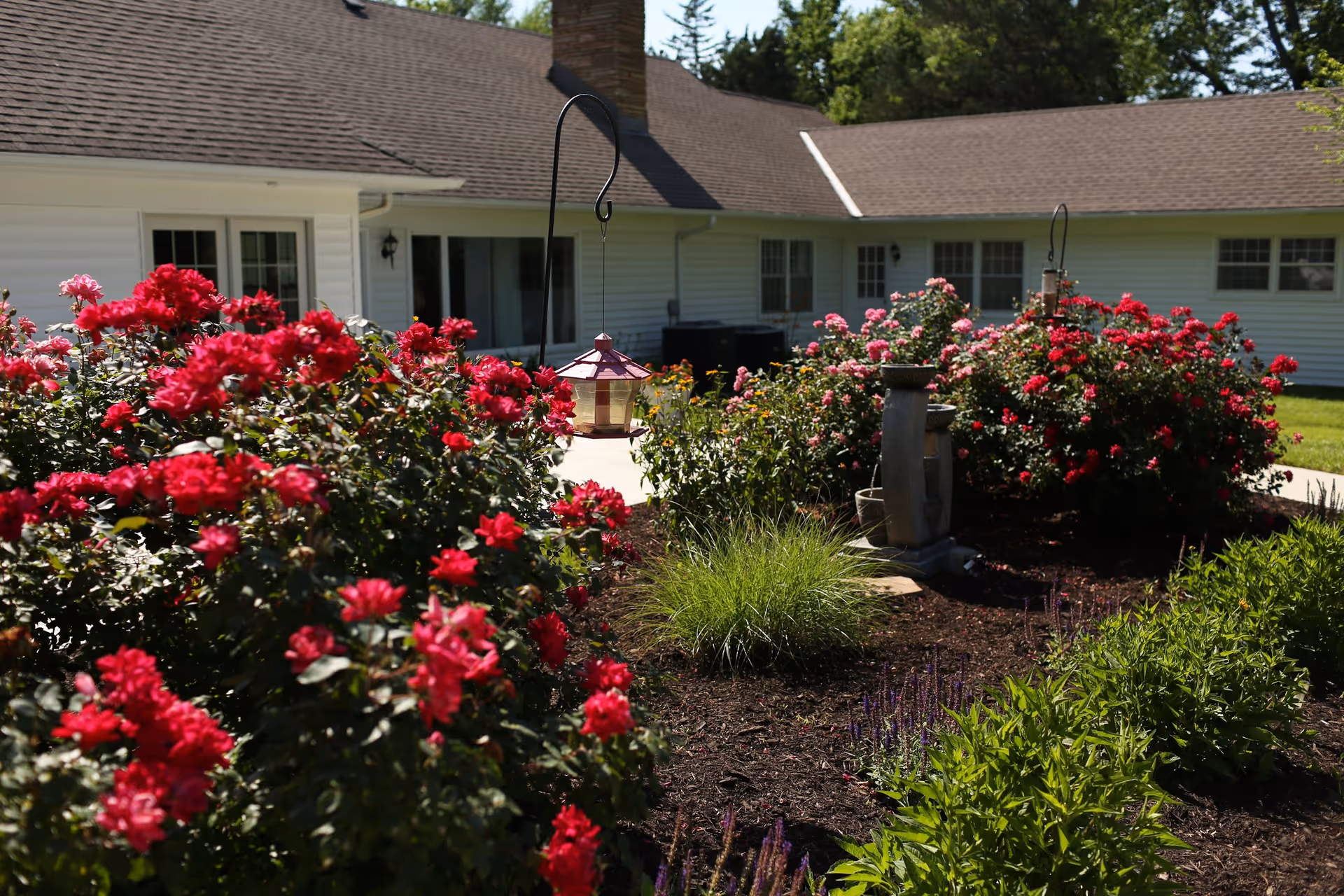 A garden area with vibrant red and pink flowers in front of a single-story white building with multiple windows and a brown shingled roof. There are decorative garden elements including a lantern and a small water feature among the plants.