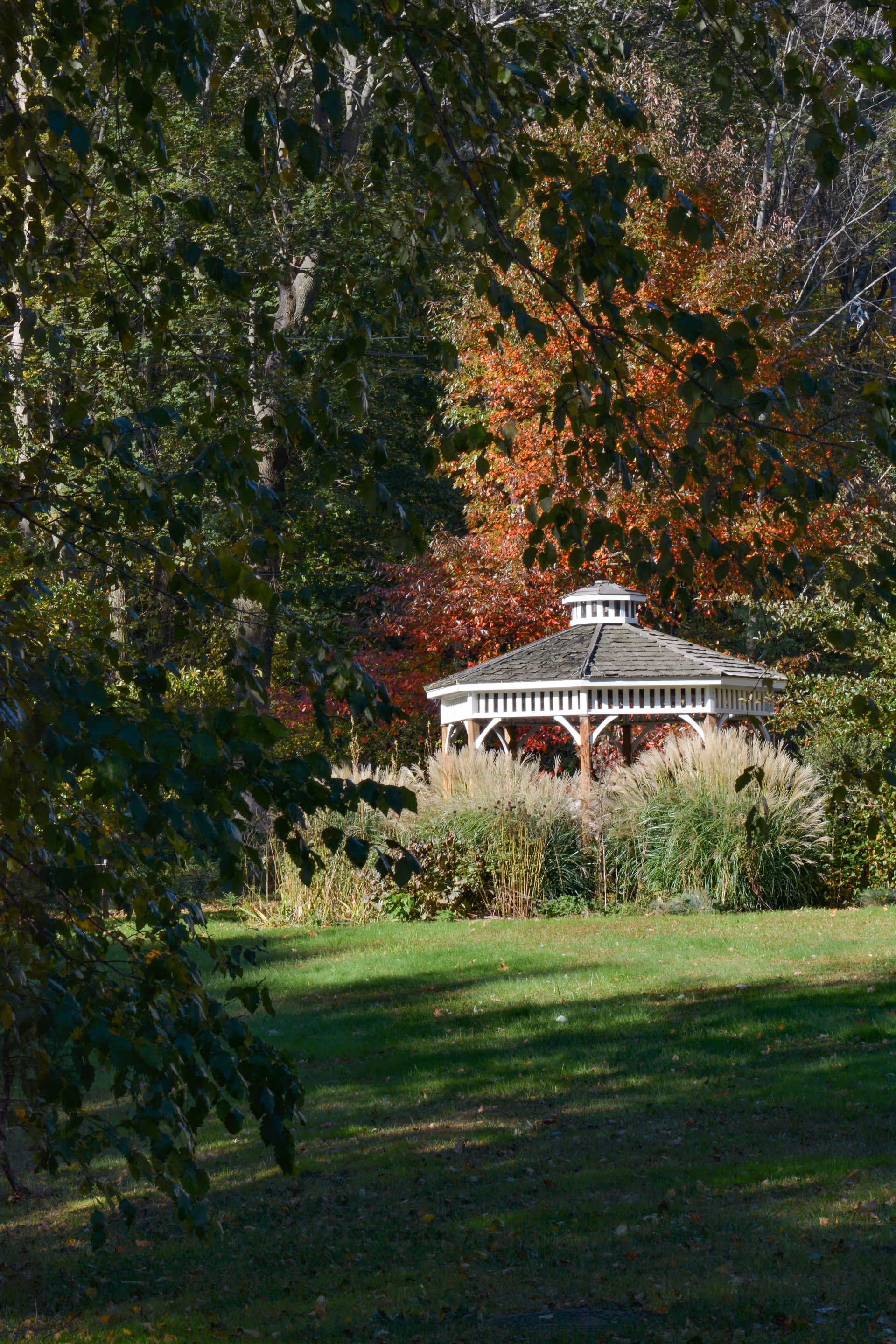 A white gazebo surrounded by tall grasses and trees with green and autumn-colored leaves in a grassy outdoor area.