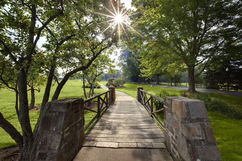 A wooden footbridge with stone pillars on either side crosses a small path in a green park-like outdoor area with trees and grass under a bright sun shining through the leaves.
