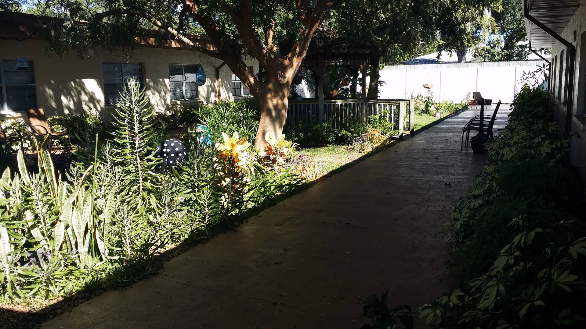 A shaded outdoor walkway beside a building with a garden area on the left featuring various plants and a large tree. There are chairs along the walkway and a white fence in the background.