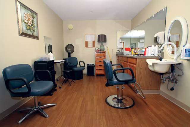 Interior view of a salon or grooming room with several blue salon chairs, a hair dryer, a large mirror above a wooden counter with various bottles, a small sink with a round mirror, and a framed floral painting on the wall.