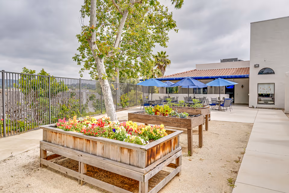 Raised wooden planters filled with colorful flowers on a patio with tables, blue umbrellas, and a building under a cloudy sky.