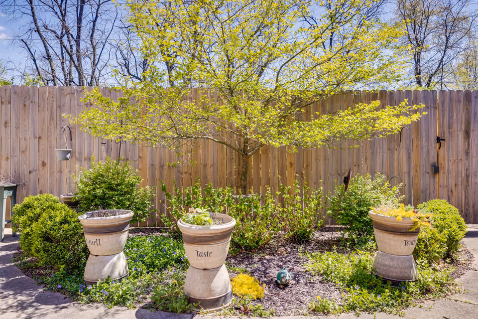 A small garden area with a wooden fence in the background. There is a tree with fresh green leaves in the center, surrounded by various green shrubs and plants. Three large beige planters are placed in front of the garden, each labeled with the words 'Smell', 'Taste', and 'Touch'. The sky is clear and blue, and the scene is brightly lit by sunlight.