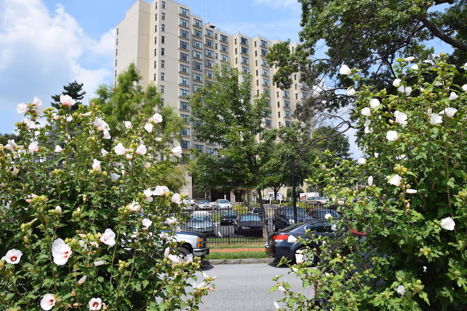 View of a tall beige residential building behind a parking lot with several cars, framed by green trees and bushes with white flowers in the foreground under a partly cloudy sky.