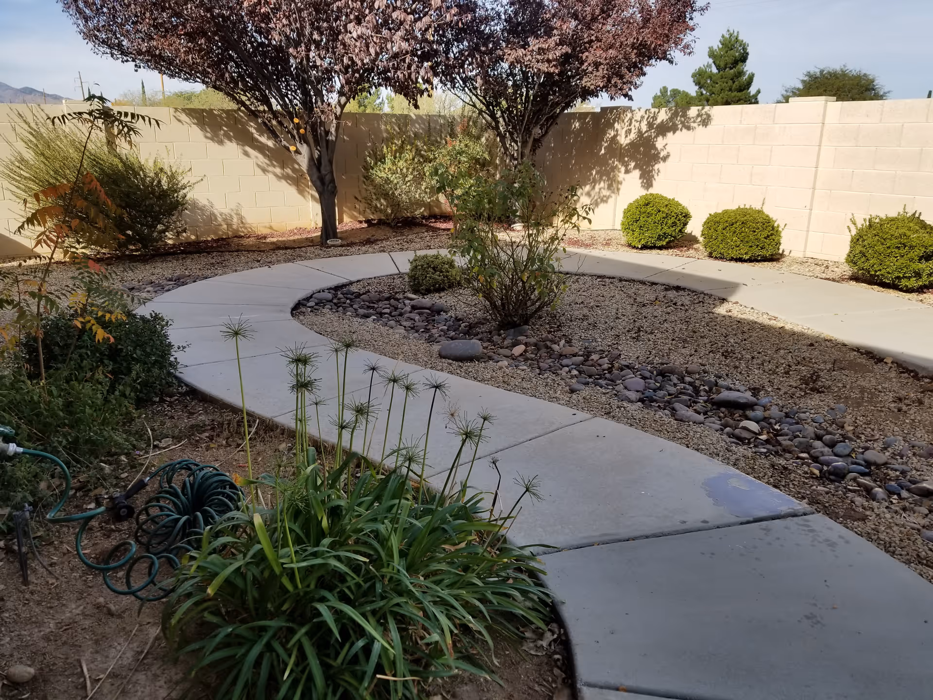A curved concrete pathway winds through a landscaped courtyard with shrubs, decorative rocks, and a coiled garden hose.